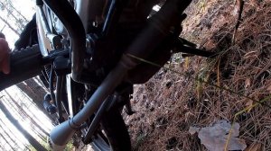 Bajaj Boxer 150 X / Сделал отверстия в глушителе