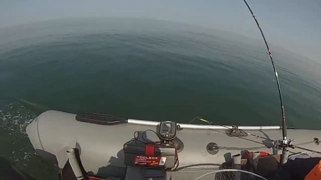 Балтийское море . троллинг . кумжа 3.5 кг. Часть2 смотреть онлайн
