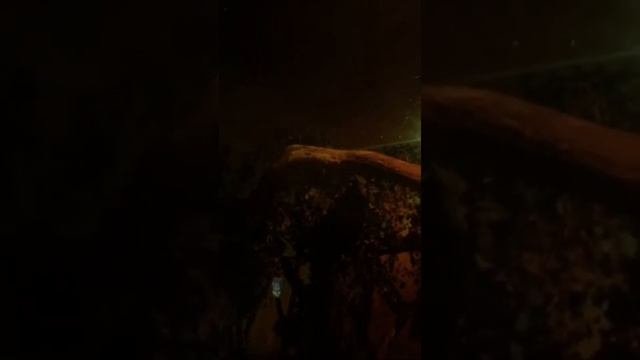 Ночные животные Краковского зоопарка