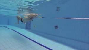 7/20. Брасс на спине. Полезные упражнения. Swimming lessons.