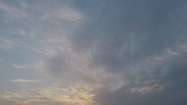 Мать потеряла сына 5 лет назад... А спустя годы увидела его в горящем доме и ОБОМЛЕЛА... смотреть онлайн