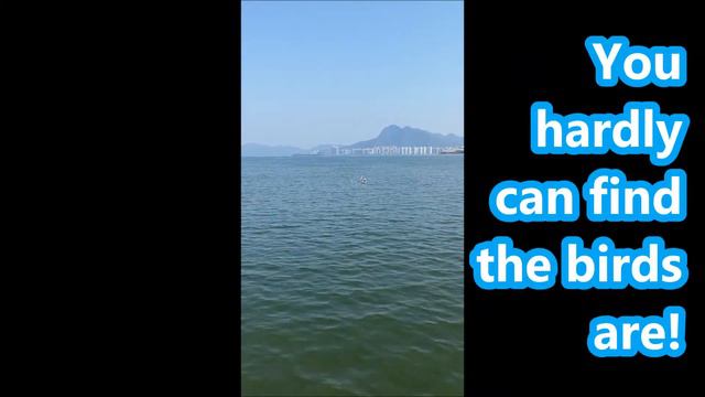 A Test to 12x50mm iPhone (Huawei Oppo Vivo Xiaomi Realme OnePlus... for mobile) Super Telescope Len смотреть онлайн