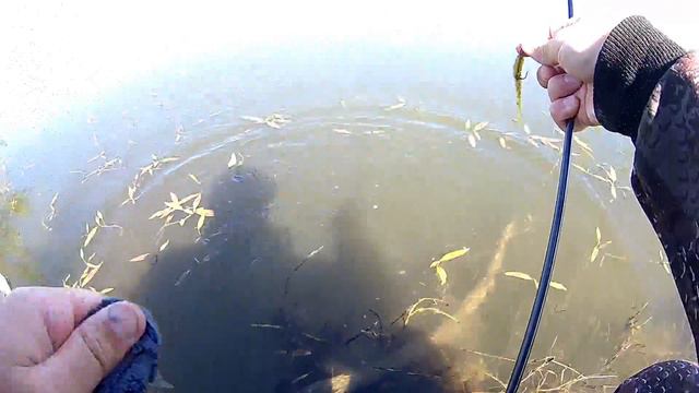 Первый день лета.Микроджиг в Береговом. смотреть онлайн