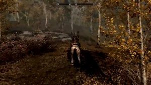 TES:Skyrim(Причиной сего-Серега)