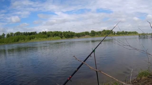 ФИДЕР В МАЕ ( карась, плотва).# ФИДЕР # рыбалканафидер# смотреть онлайн