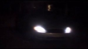 Мраморные Шершни