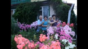 Хорошо на даче летом, всё пылает ярким цветом!