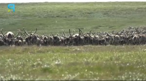 Прямой Эфир Ямал-Медиа