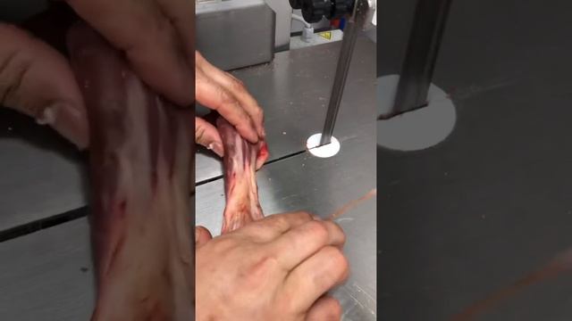 Ленточная пила для разделки мяса, рыбы FIMAR 1550 380В смотреть онлайн