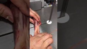 Ленточная пила для разделки мяса, рыбы FIMAR 1550 380В