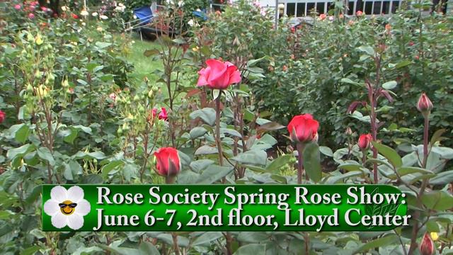 Garden Time show 14 6-1-19 смотреть онлайн