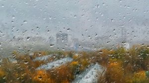 Анатолий Алешин Золотой листопад