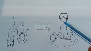 Эректильная дисфункция | Эрекция у мужчин | Проблемы с эрекцией у мужчин
