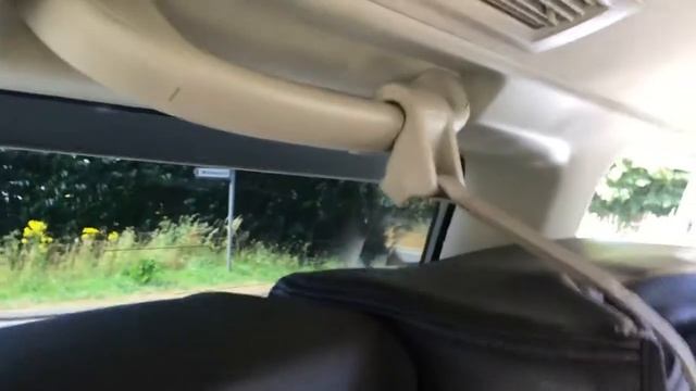 Nissan Elgrand E51 Four Wheel Drive For Sale @ countycarsofstrood.co.uk смотреть онлайн