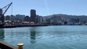 Веллингтон - прогулка по набережной