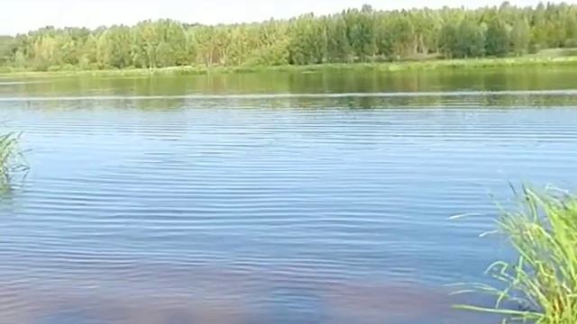 Скнятино, лодочная станция, отдых