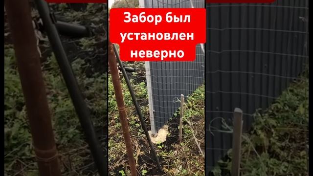 Забор между соседями был установлен неверно, но собственники нашли общий язык