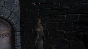 Skyrim Season 1 ep 5 talking to the Augur