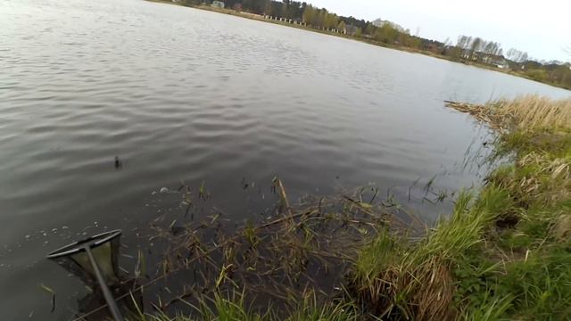 Утренний клев.Фидер.Апрель . смотреть онлайн