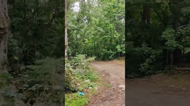 Как пройти на тропу здоровья? Видеогид| Река 
