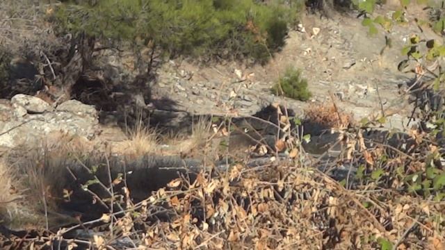 Sony WX7 Compact My River Trip Near Picnic Area 17 11 2016 смотреть онлайн