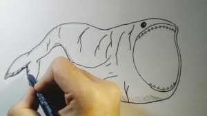 How to Draw the Biggest Fish Bloop