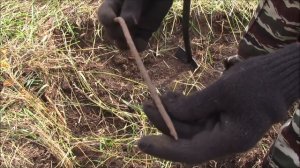 Искал артефакты а накопал кучу металлолома