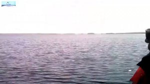 Ивинские разливы, рыбалка на Ивинских разливах