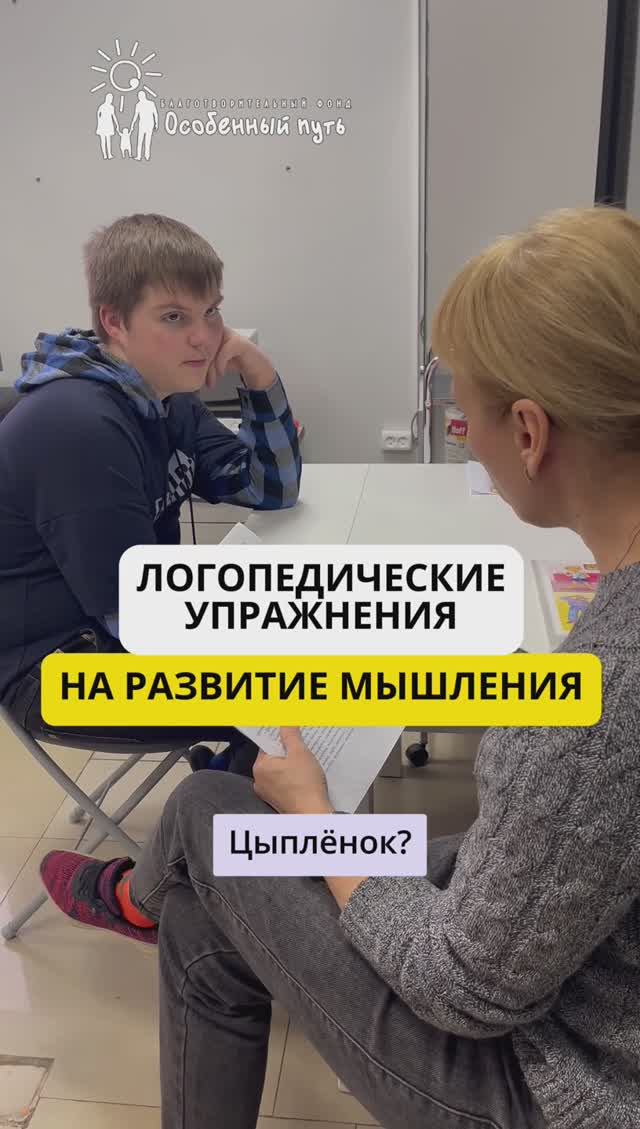 Логопедические упражнения на развитие мышления Серёжи. БФ "Особенный путь".
