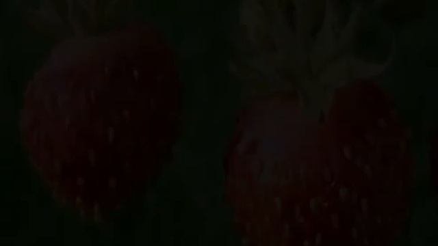 Земляника (растение)
