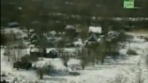 Животные Чернобыля . Часть 6