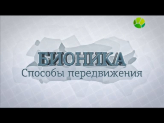 Бионика. Способы передвижения смотреть онлайн