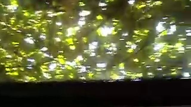 осмотр машины.AVI