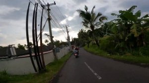 Бали. На байке по Убуду: рисовые поля и джунгли // Bali-ride: 30 minutes around Ubud