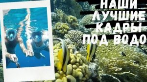 ПОДВОДНЫЙ МИР КРАСНОГО МОРЯ: наши лучшие кадры:) Coral Bay.