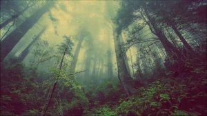 Deep Dubstep Mix - September 2020
