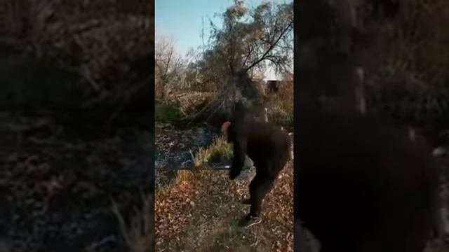 Приколы.Анекдоты.рыбалка