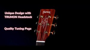 Trumon Acoustic Guitar 1900 Dolphin Master Series | Trumon Guitars
