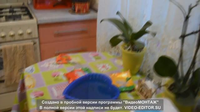 Желейный десерт "Светофор" смотреть онлайн