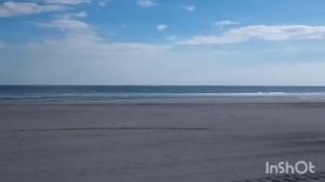 Кристина Мотиватор отказала Хани во встрече. Лена Хеппи банит инакомыслящих. Переезд. Кровать.