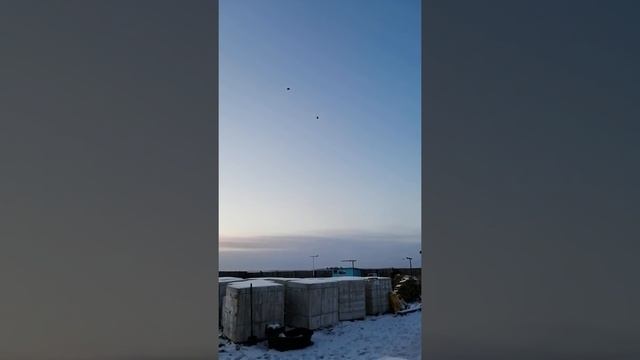 Сизые голуби смотреть онлайн