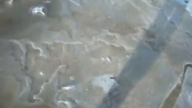 растекание ЖБО, ул.Школьная №4, №6 смотреть онлайн