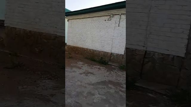 Клевер четырех лепестковый смотреть онлайн