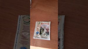 Циркон,поливаю орхидею после пересадки