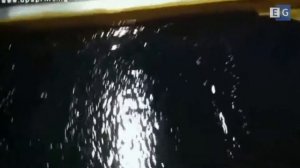 Линия для трафаретной печати на текстиле DS-302