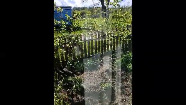 #ТКО не вывозим#СпецАТХа#Рославль#Смоленск#ЖКХ&Волков С.Г.#Администрация г.Рославля# смотреть онлайн