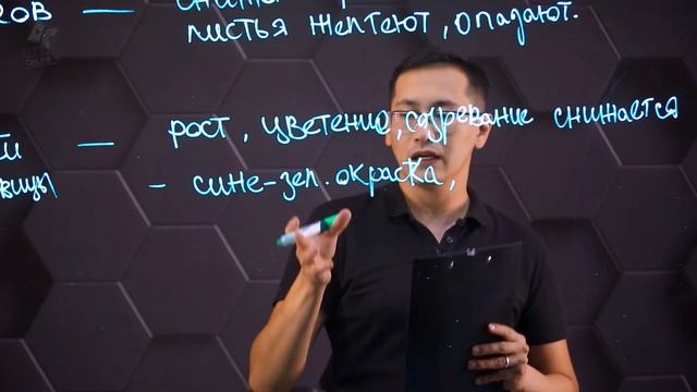 Дефицит макроэлементов - азота, калия и фосфора в минеральных удобрениях. смотреть онлайн