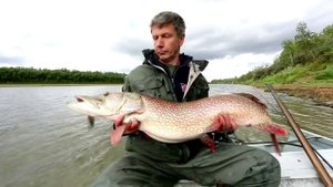 Ловля Щуки на воблер и блесну GERMAN