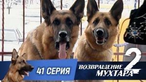 «Возвращение Мухтара — 2». 41 серия. «Степень защиты»