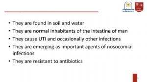 2. Proteus & Pseudomonas